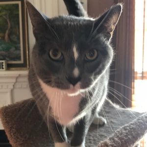 Meet your Posher, Kelly